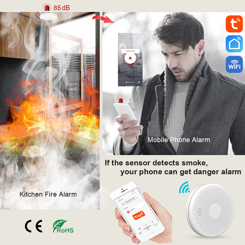 2 in 1 Version WiFi Tuya Smart - Smoke Detector Interconnected 리뷰 및 가격