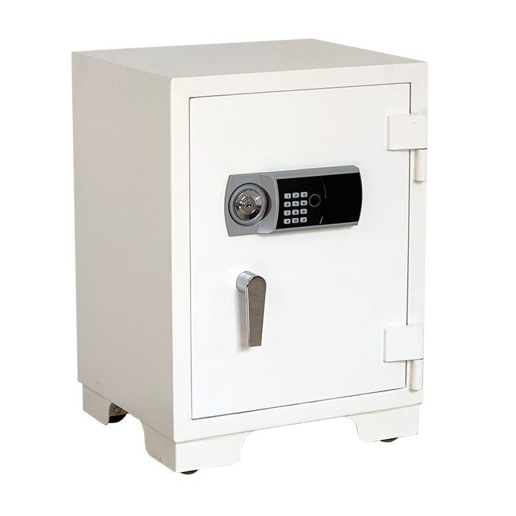 Bank Home Office Deposit Secur - Fire Safe Document 리뷰 및 가격