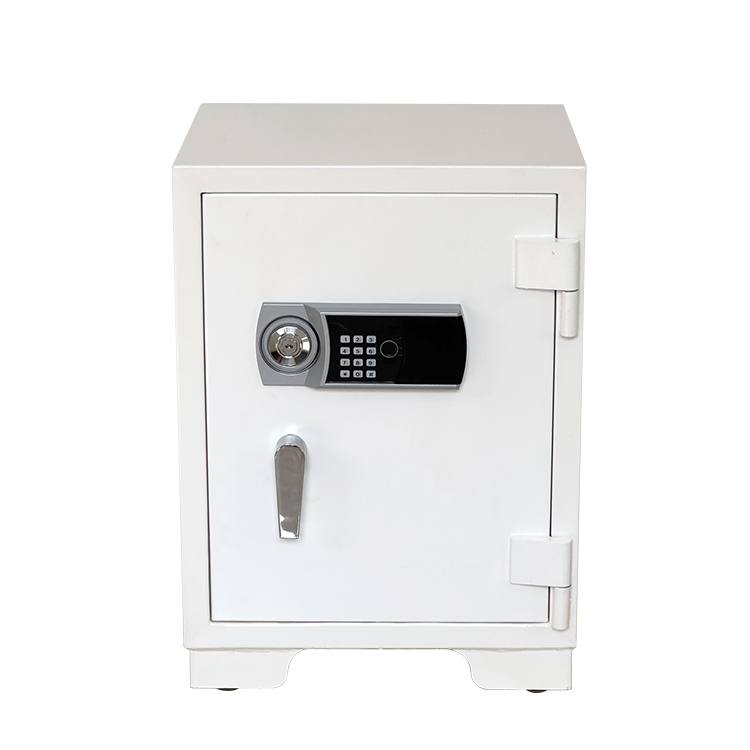 Bank Home Office Deposit Secur - Fire Safe Document 리뷰 및 가격