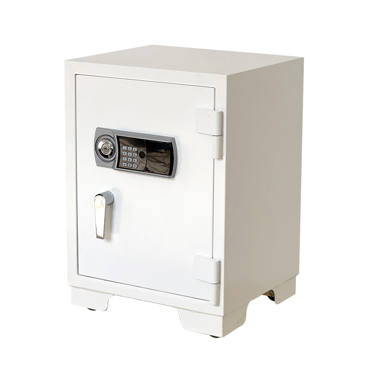 Bank Home Office Deposit Secur - Fire Safe Document 리뷰 및 가격